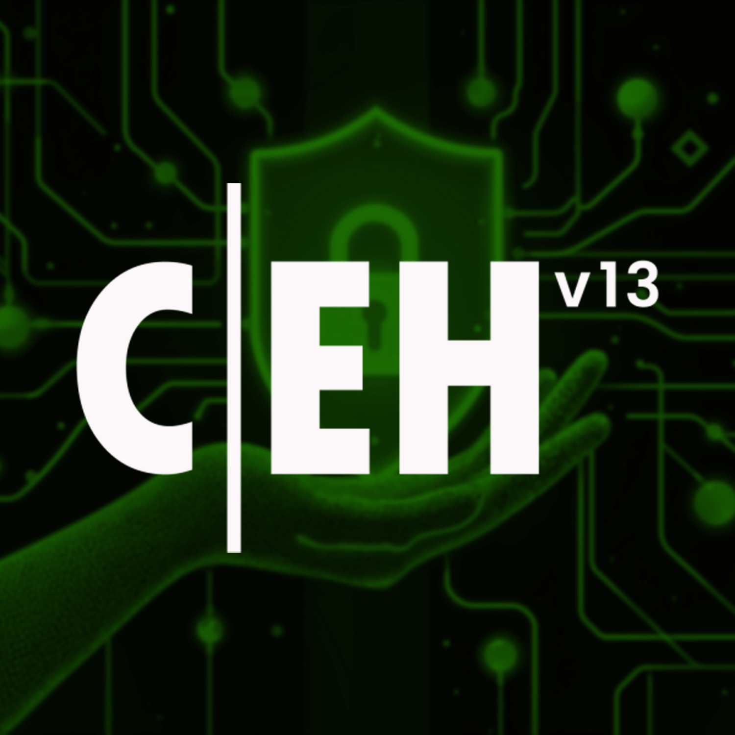 CEH v13 Certified Ethical Hacker Training Program